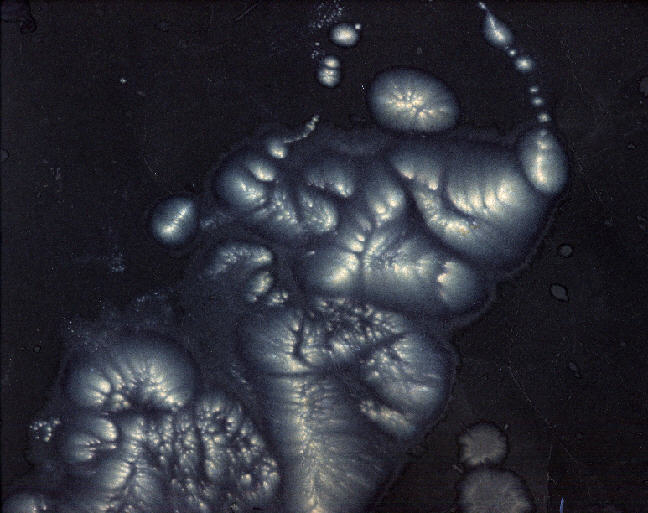  Use BACK (faster) or click here to go back to Art Happenz