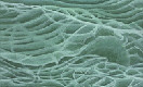  Click the image to see a closeup of the water technique
