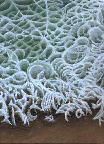  Use browser BACK or click here to return to the main gallery